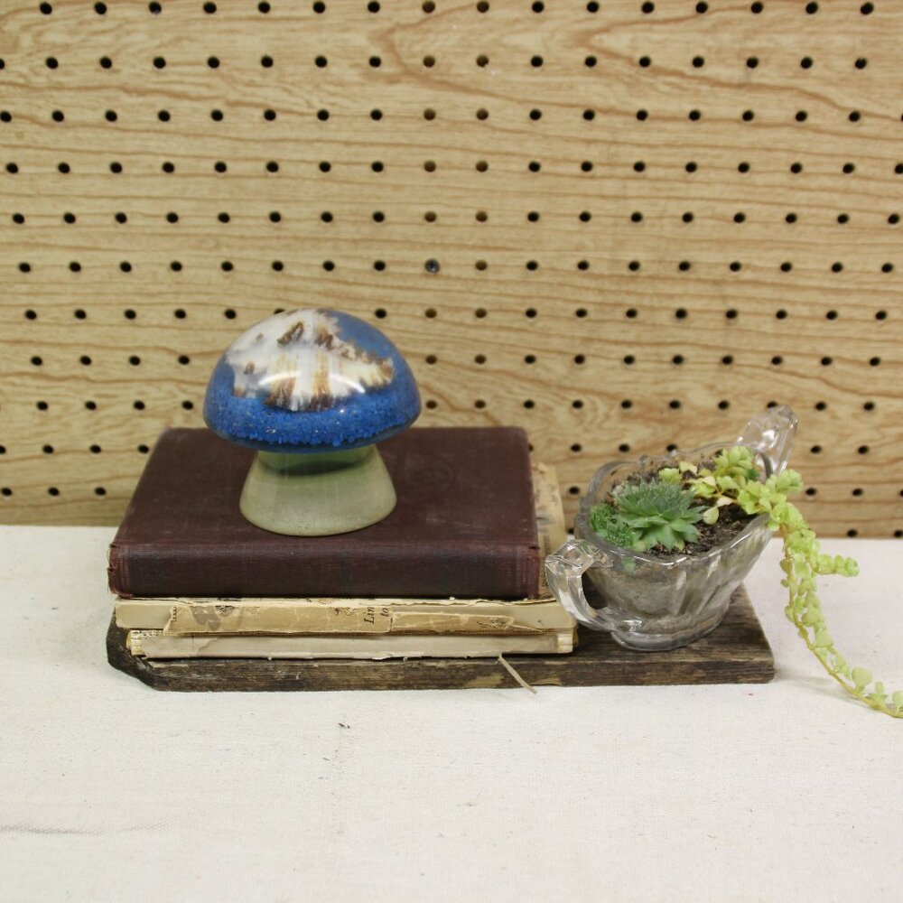 Vintage Lucite Mushroom SeaShell Paperweight Clear 3.5 inches tall